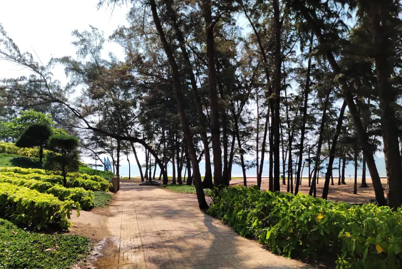 Bãi biển và công viên Đồi Dương - ảnh 7